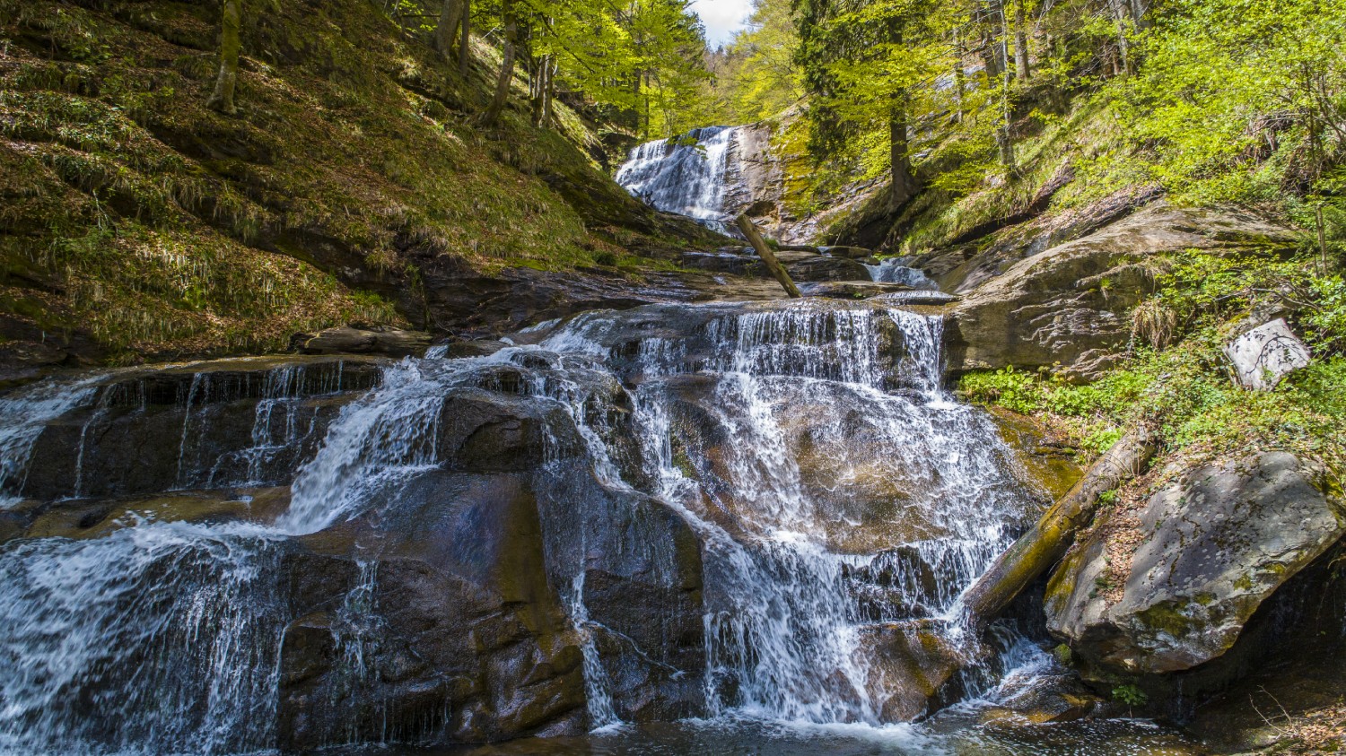 Avis Rent a car Bosna i Hercegovina Sarajevo, Aerodrom Sarajevo